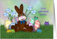 Easter for a Grandson Adorable Bunny, with Eggs, Flowers and Frogs card