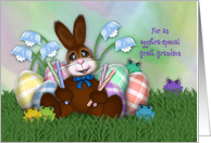 Easter for a Great Grandson, Adorable Bunny, Eggs, Flowers and Frogs card