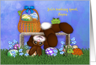 Easter for a Stepson, Adorable Bunny, Eggs, Flowers Frog Turtle card