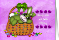 Happy Easter for a Sweet Little Boy, Bunny Basket Full of Jelly Beans card