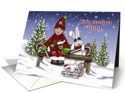 Merry Christmas Stepson a Little Boy on Bench with Animals card