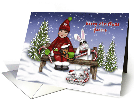 Merry Christmas Godson a Little Boy on Bench with Animals card