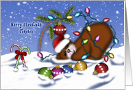 Christmas for a Stepson Bear Tangled Lights card