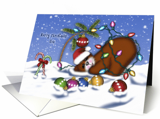 Christmas for a Son Bear Tangled Lights card (1650316)