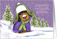 Christmas Great Grandson Dachshund Dressed for Winter card