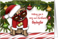 Christmas for a Stepdaughter Pug in a Santa Suit with Glasses card