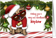 Christmas for a Nephew Pug in a Santa Suit with Glasses card