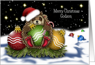 Christmas For A Godson Hedgehog With Christmas Ornaments card