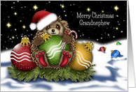 Christmas For A Grandnephew Hedgehog With Christmas Ornaments card