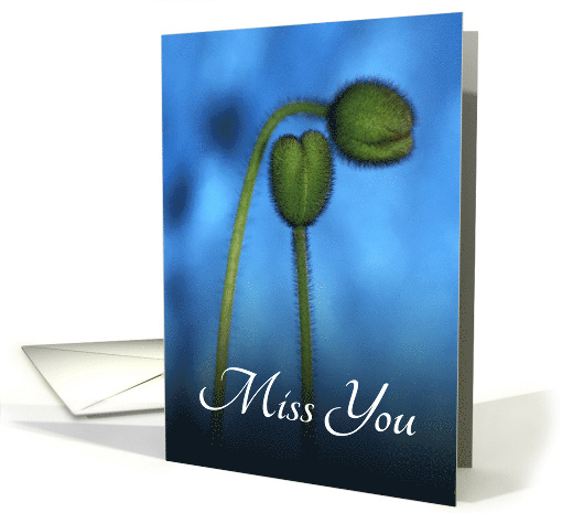 Two Poppy Buds Saying Miss You card (1561944)