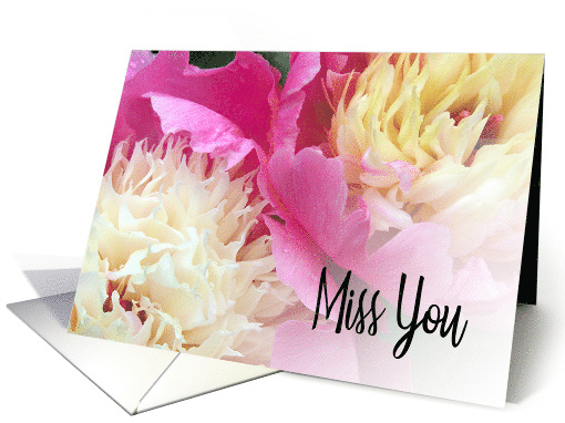 Miss You Blank Inside Two Peonies in Pink and Cream card (1561946)