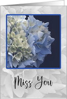 Blue and Cream Hydrangeas in Wistful Tones Miss You card