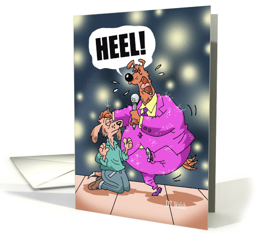 Funny Get Well Dog in a Purple Sparkling Suit card (1563798)