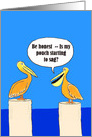 Funny Birthday Pelican Asking If Pouch Is Sagging card