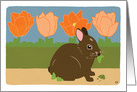 Easter Bunny in Garden with Tulips card