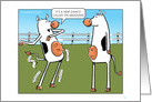 Humorous Romantic Card of Cow Dancing the Milkshake card