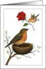 Mother’s Day Baby Bird With Rose card