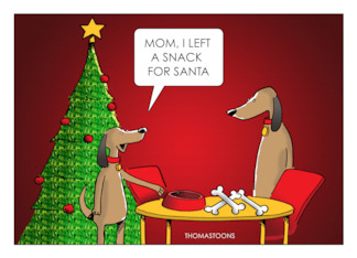 Christmas Puppy Puts...