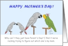 Mother’s Day for Mom From a Monomorphic Parrot’s Perspective card