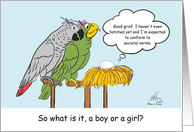 New Baby Egg Thinking It Hasn’t Hatched Yet and It Has to Conform Gender Humor card