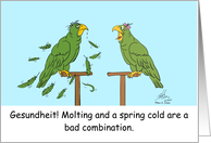 Get Well Soon Molting and a Spring Cold are a Bad Combination card
