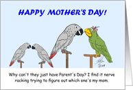 Mother’s Day for Mom From a Monomorphic Parrot’s Perspective card
