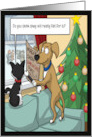 Pet’s Christmas Magic Show Tricking Squirells card