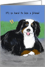 Sympathy Card to Owner for Loss of Dog Bernese Mountain Dog card