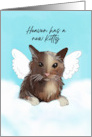 Loss of Cat Sympathy Card With Angel Cat in Heaven card