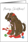 Christmas Bernedoodle Pup With Torn Up Wrapping Paper and Ribbon card