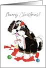 Christmas Black and White Bernedoodle With Torn Up Wrapping Paper card