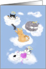 Loss of Cat Sympathy Card With Heavenly Kitties on Clouds card