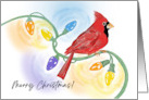 Merry Christmas Cardinal on a String of Christmas Lights card