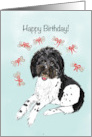 Birthday Card With Doodle Dog Dreaming of Dog Bones card