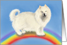 Loss of Siberian Husky or Chow Sympathy With Rainbow Bridge card