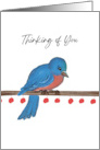 Loss of Mother With Bluebird Bringing Reassurance From God card