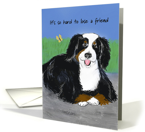 Sympathy Card to Owner for Loss of Dog Bernese Mountain Dog card