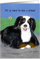 Sympathy Card to Owner for Loss of Dog Bernese Mountain Dog card