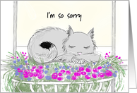Sympathy Card for Loss of Pet With Cat Sleeping Peacefully card