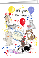 Happy Birthday Card With Dogs Having a Crazy Messy Party from the Gang card