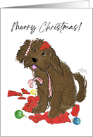 Christmas Bernedoodle Pup With Torn Up Wrapping Paper and Ribbon card