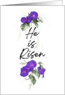 Easter He Is Risen...