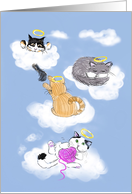 Loss of Cat Sympathy Card With Heavenly Kitties on Clouds card