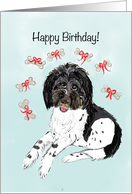 Birthday Card With Doodle Dog Dreaming of Dog Bones card