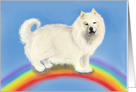 Loss of Siberian Husky or Chow Sympathy With Rainbow Bridge card