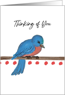 Loss of Mother With Bluebird Bringing Reassurance From God card