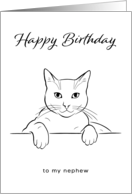 Nephew Happy Birthday with Minimalist Black and White Cat Art card