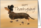 Brown Dachshund Funny Pilgrim Hat Thanksgiving card