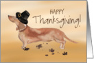 Tan and Brown Dachshund Funny Pilgrim Hat Thanksgiving card