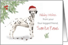 Christmas From Dog Dalmation in Funny Santa Hat card